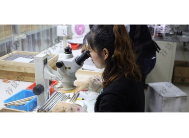 鐵氧體電感和共模電感的區(qū)別